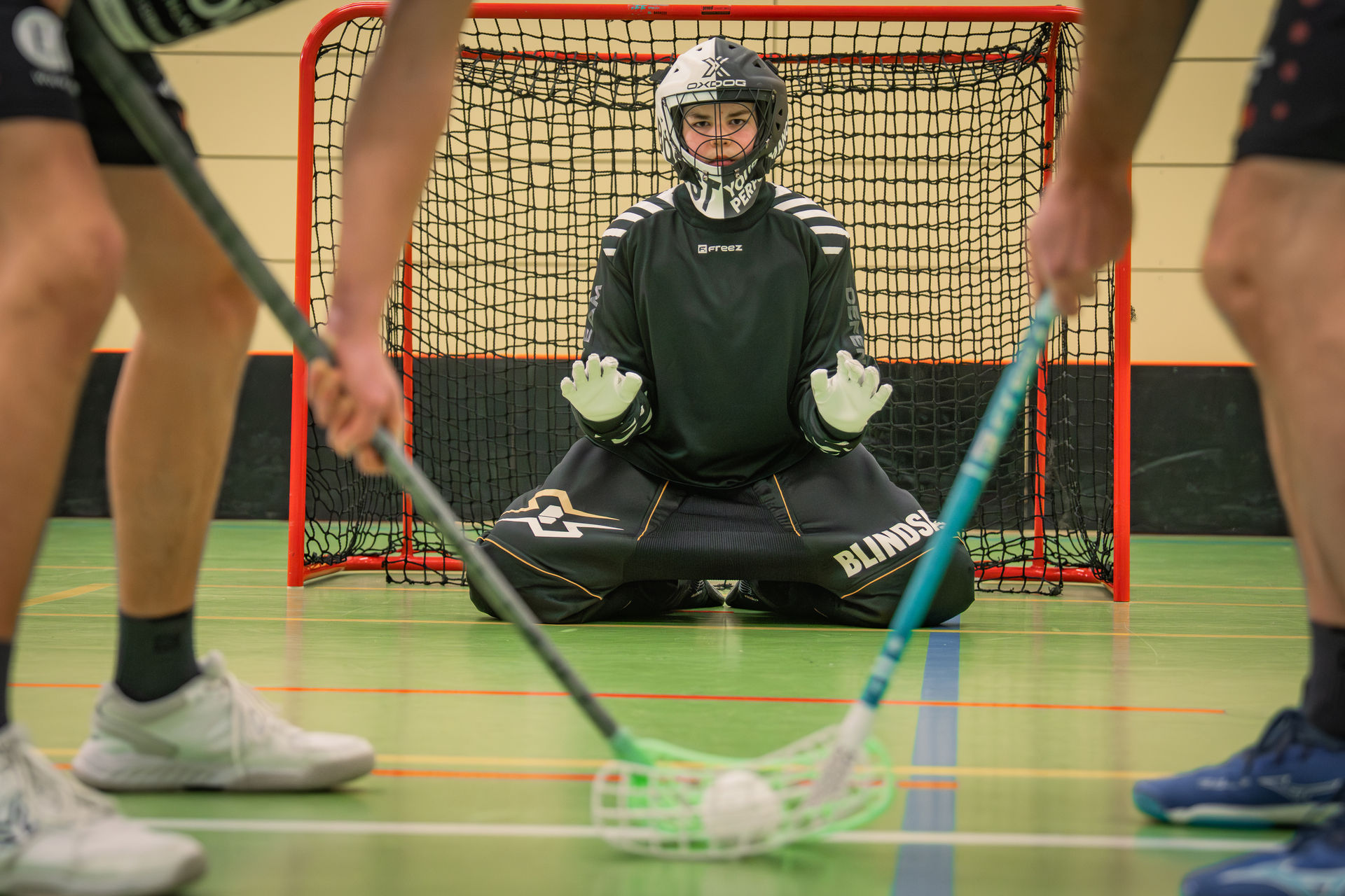 62 Lightworkart ProS 22224